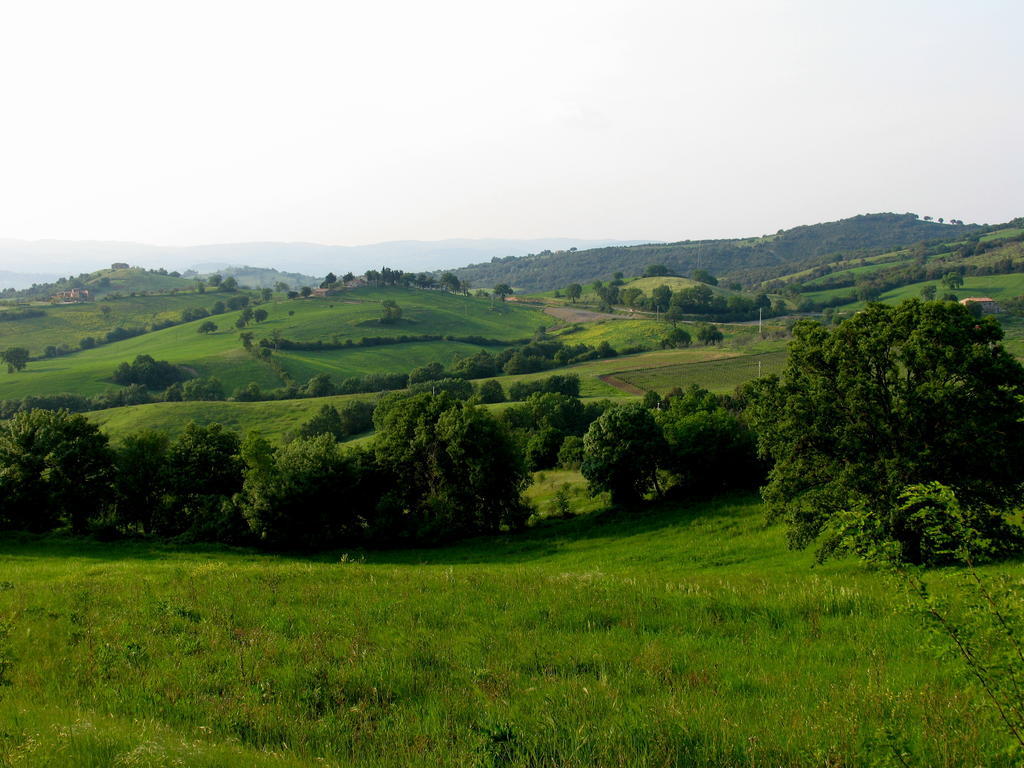 Poggio Della Quercia Manciano Exterior foto